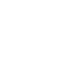 Gynecology and Obstetrics